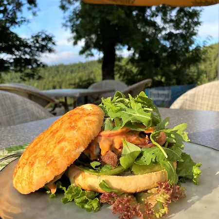Hotel Talblick Holzhau