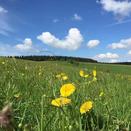 Talblick מלון 4*