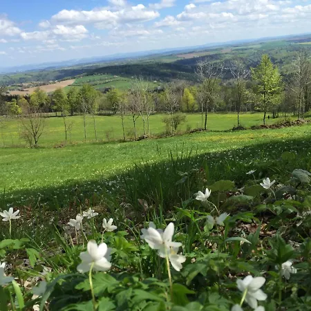 Talblick הולצהאו