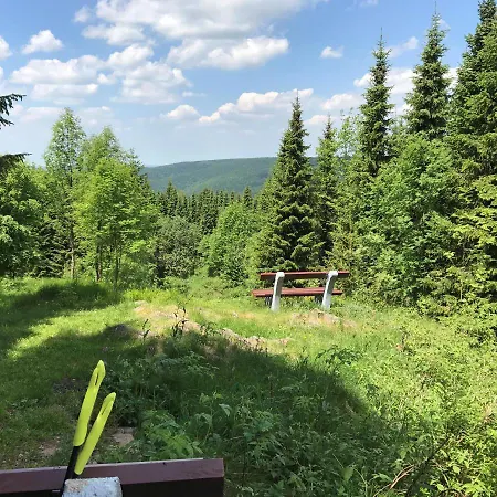Talblick 4* Хольцхау