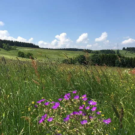 Talblick