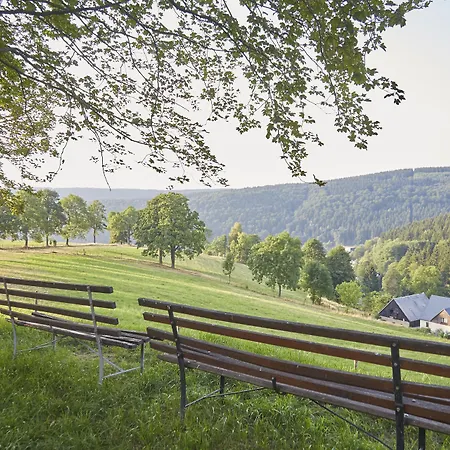 Talblick Holzhau