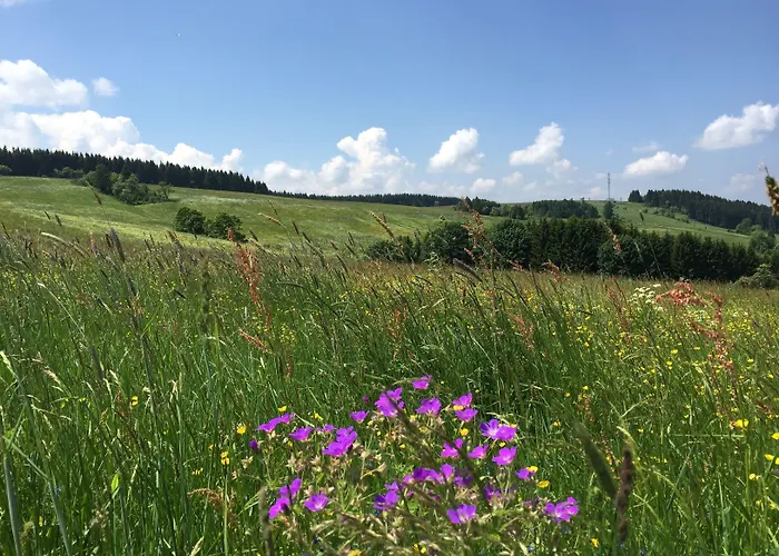 Talblick